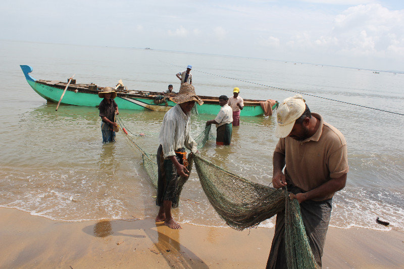 Fisherman taking in their net near Trincomalee