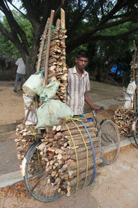 Incredible wood transport by bicycle near Eravur