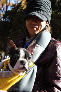Dog with owner, Yoyogi Park
