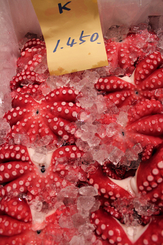 Octopus, Tsukiji fish market Tokyo