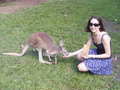 Lauren feeding Kangaroo
