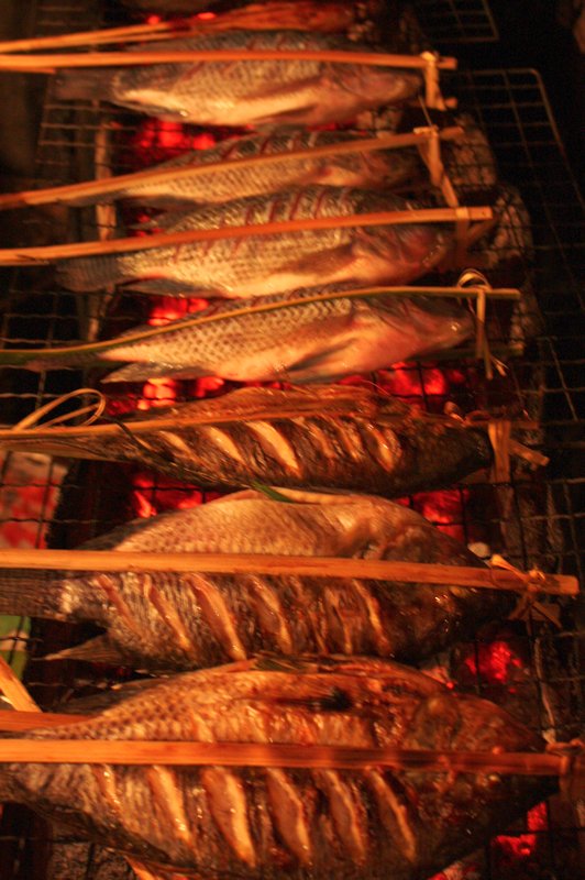 grilled Fish