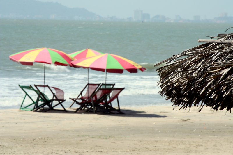 beach chairs & umbrellas