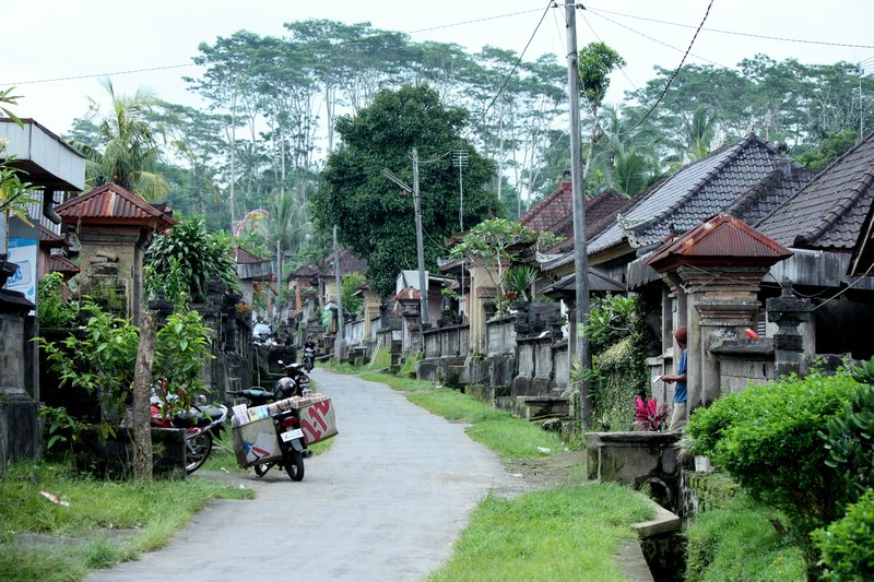 Typical village