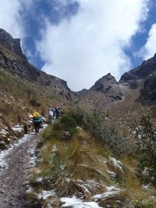 Gringo trail