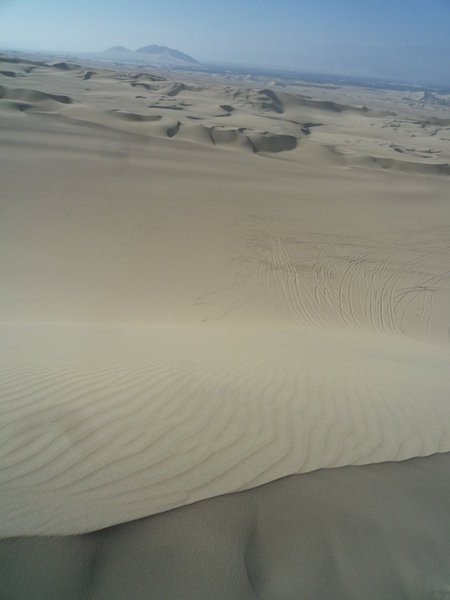 Dunes for ever...