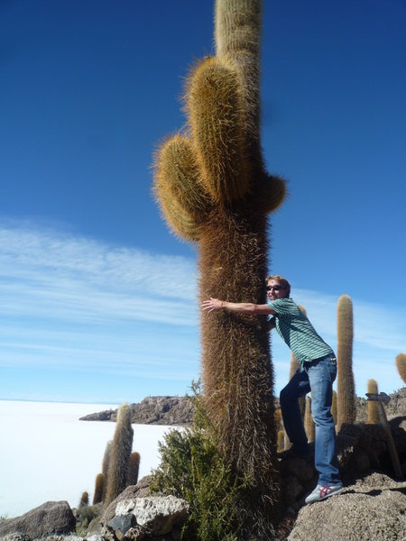Hug a Cactus