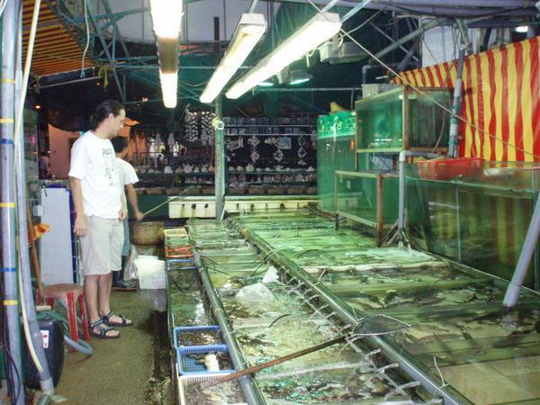 Picking our Dinner at Cheung Chau
