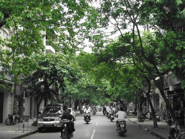 Typical Hanoi street (Indie took this one)