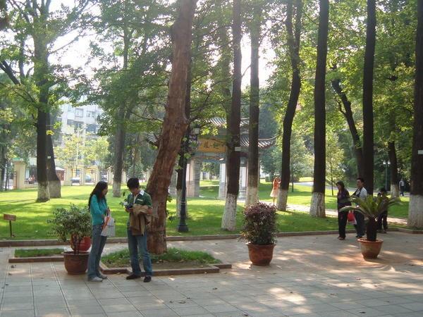 Leafy Yunnan University campus