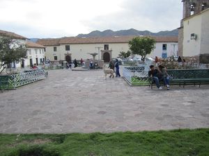San Blas Plaza