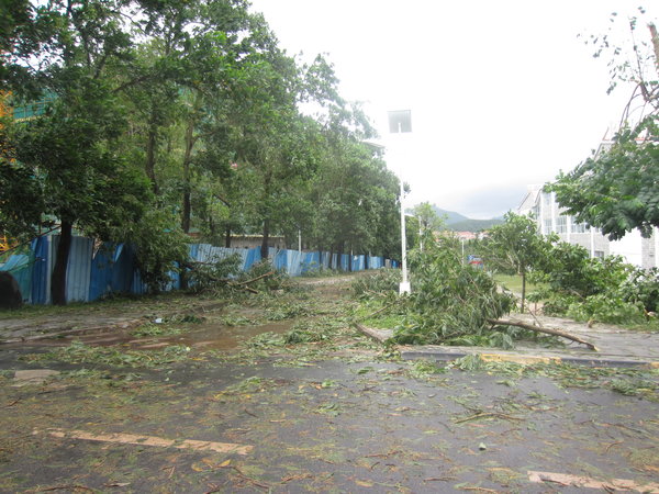 Typhoon damage