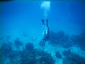 Where the SCUBA Divers Dive