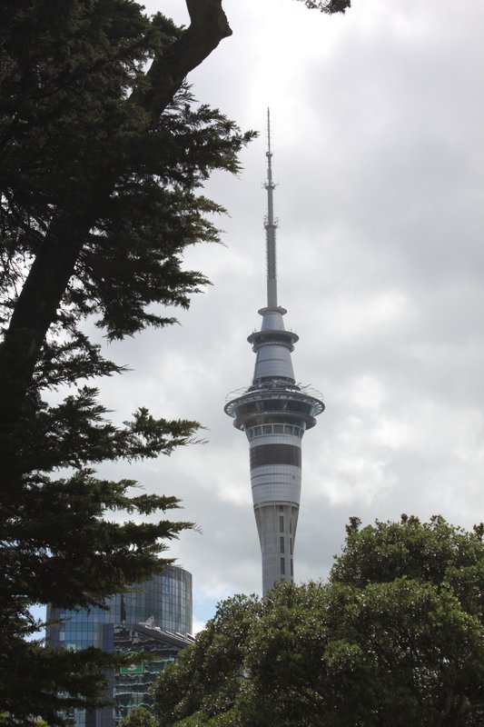 Auckland 035