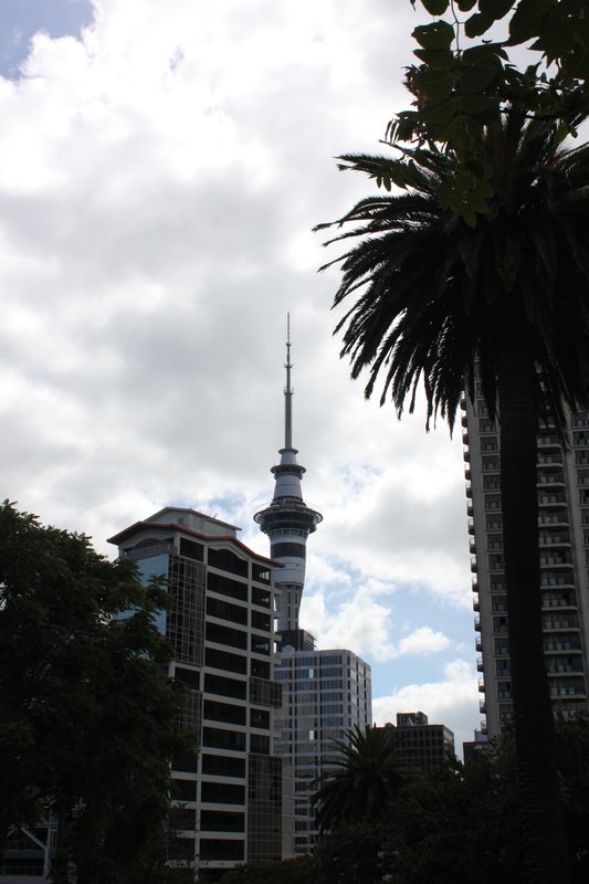 Auckland 036