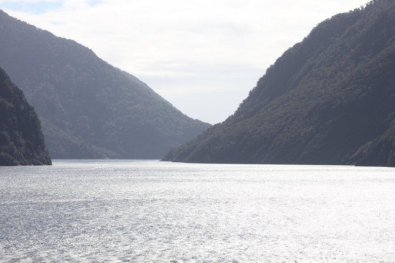 All pics to Milford Sound 1463