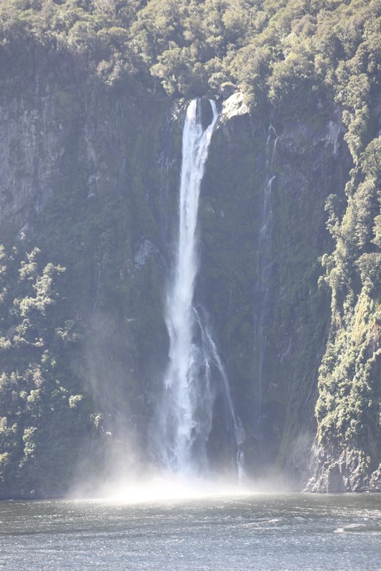 All pics to Milford Sound 1464
