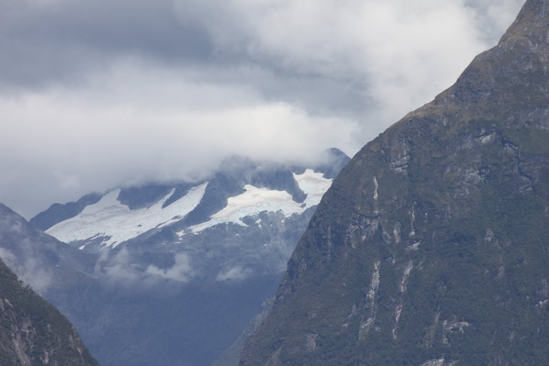 All pics to Milford Sound 1466