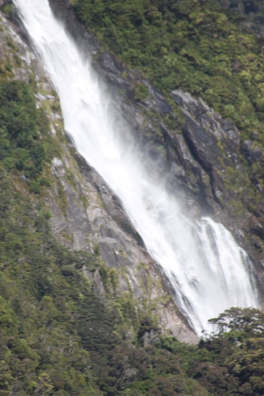 All pics to Milford Sound 1491