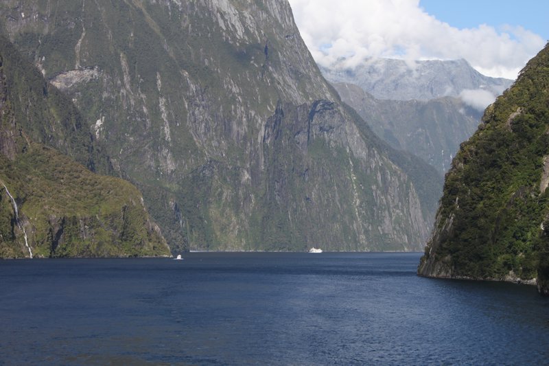 All pics to Milford Sound 1515