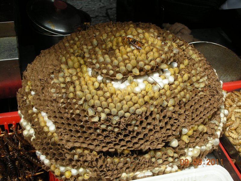 Lijinag - Fried fresh bee's for anyone?