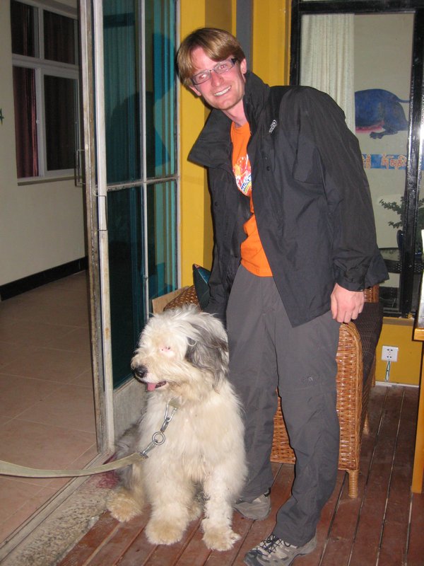 Shangri-la - The hostels dog