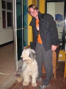 Shangri-la - The hostels dog
