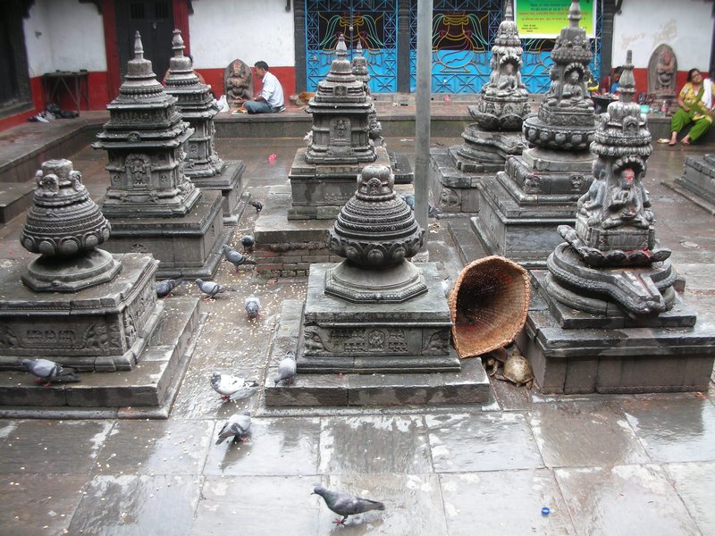 Kathmandu - Random temple with turtles??