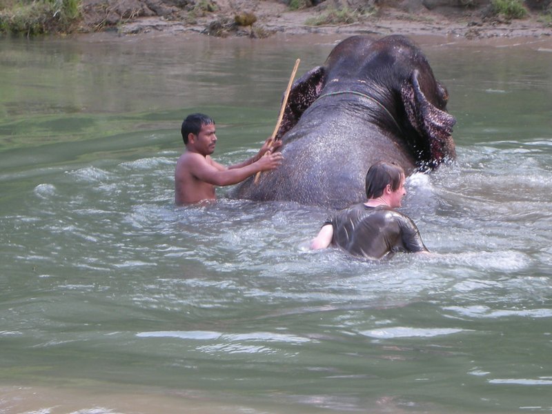 Chitwan National Park - He dunked me!