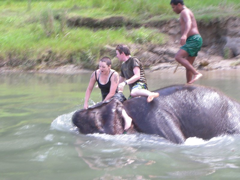 Chitwan National Park - It's bath time!