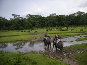 Chitwan National Park - The start of the elephant safari