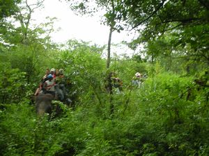 Chitwan National Park - On the way into the jungle