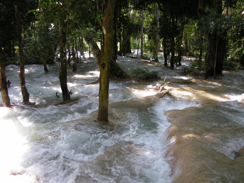 Luang Prabang - Tas Sae Waterfalls