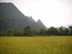 Laos - Vang Vieng - A lovely walk to the caves