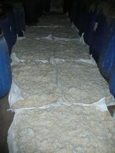 Dalat - Rice wine production