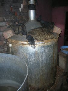 Dalat - Rice wine production