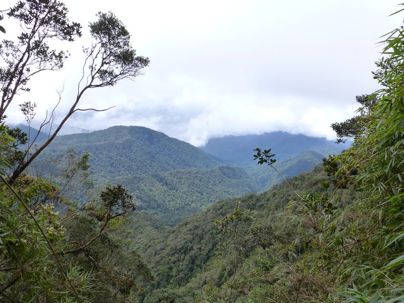 Cameron Highlands - The view on route