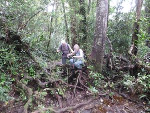 Cameron Highlands - The jungle trek