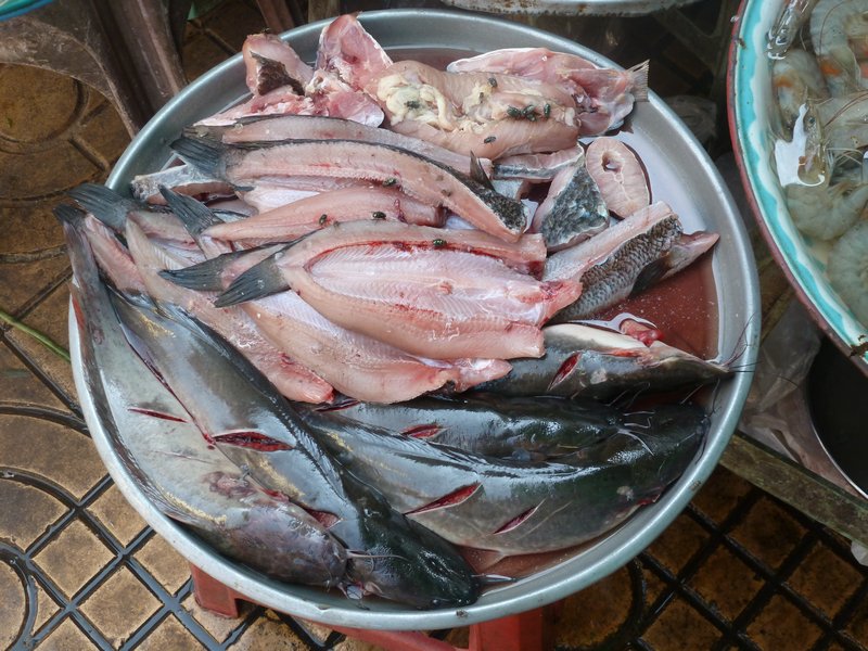 Bangkok - These fish are still alive!