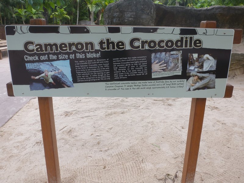 Australia Zoo - Cam the Crododile