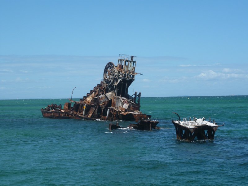 Moreton Island - The wrecks were we snorkelled