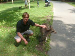 Australia Zoo - Me and my new friend the Kangaroo