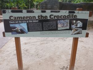 Australia Zoo - Cam the Crododile