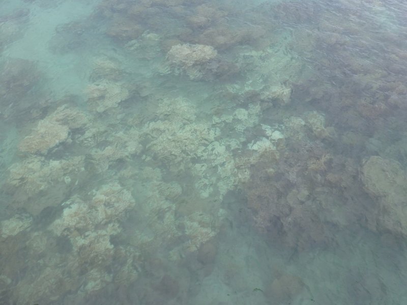 Reef - Simply beautiful