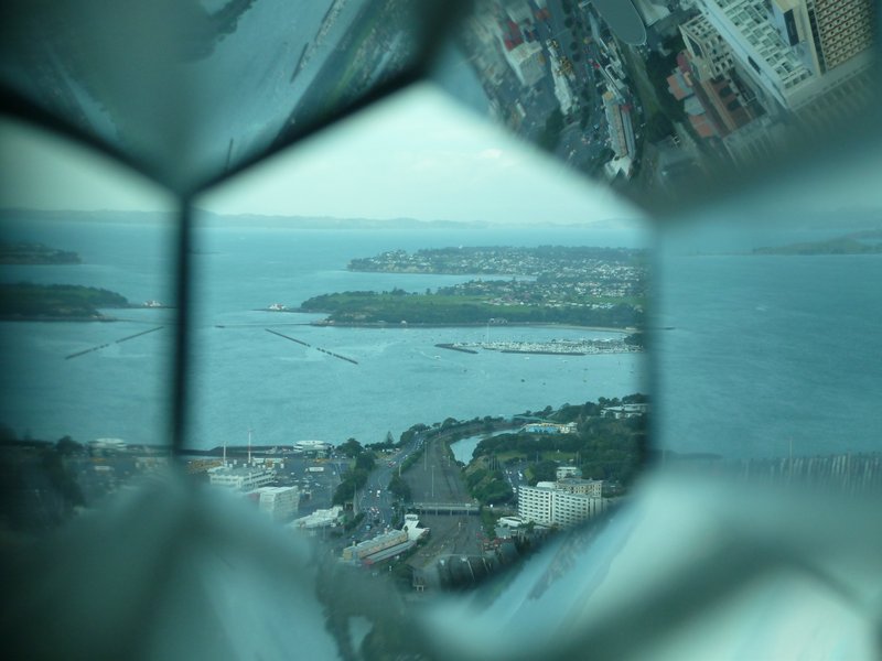 Auckland - Sky tower view