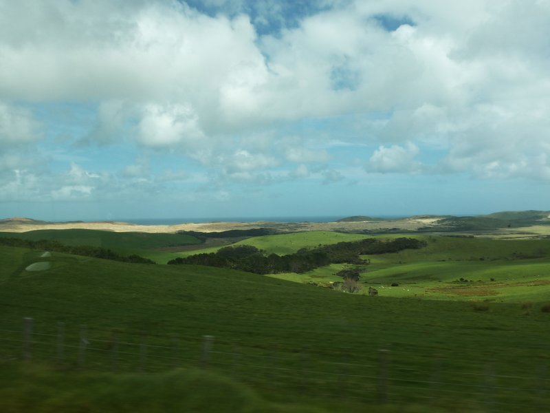 Cape Reinga - More views from the bus window