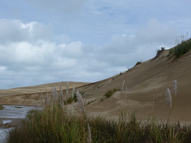 Cape Reinga - Sand dunes