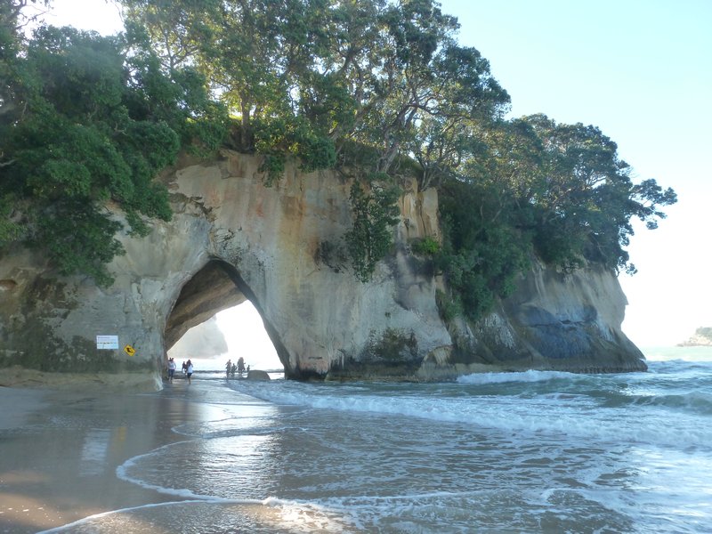 Hahei - Cathedral Cove!
