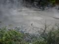 Taupo - Jumping mud puddles