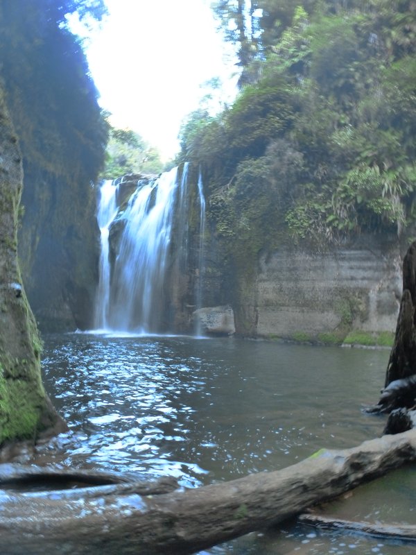 Whakahoro - The falls from below
